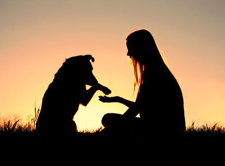 Eutanasia cane: quando è il momento di dire addio
