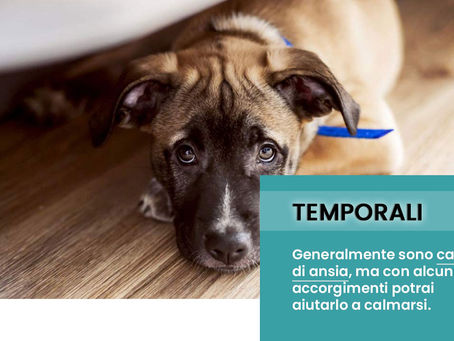 Paura dei temporali