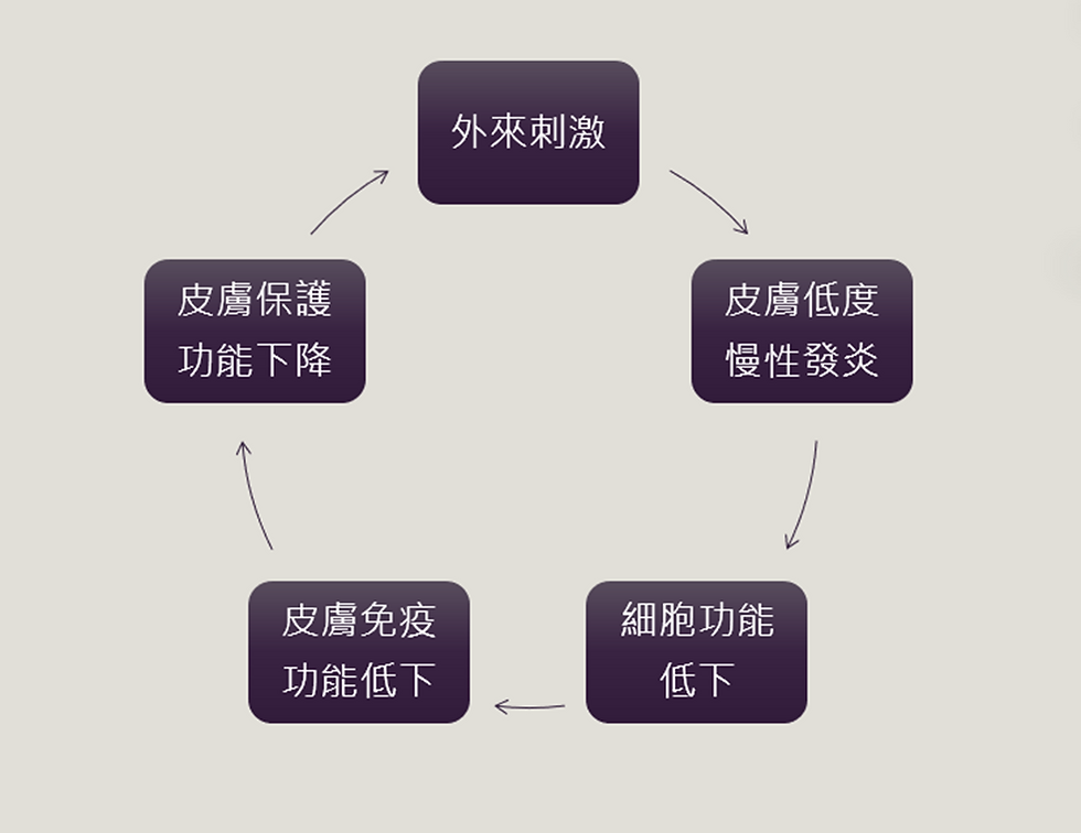 低度慢性皮膚發炎循環,可能導致除了加速老化以外的嚴重發炎!