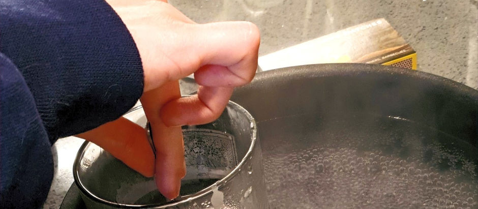 8. Dealing with Queenlessness and GREG GOT STUNG!