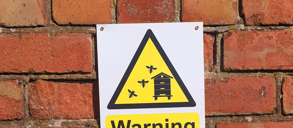 14. Introducing Queen Kate! Our first home-reared queen!