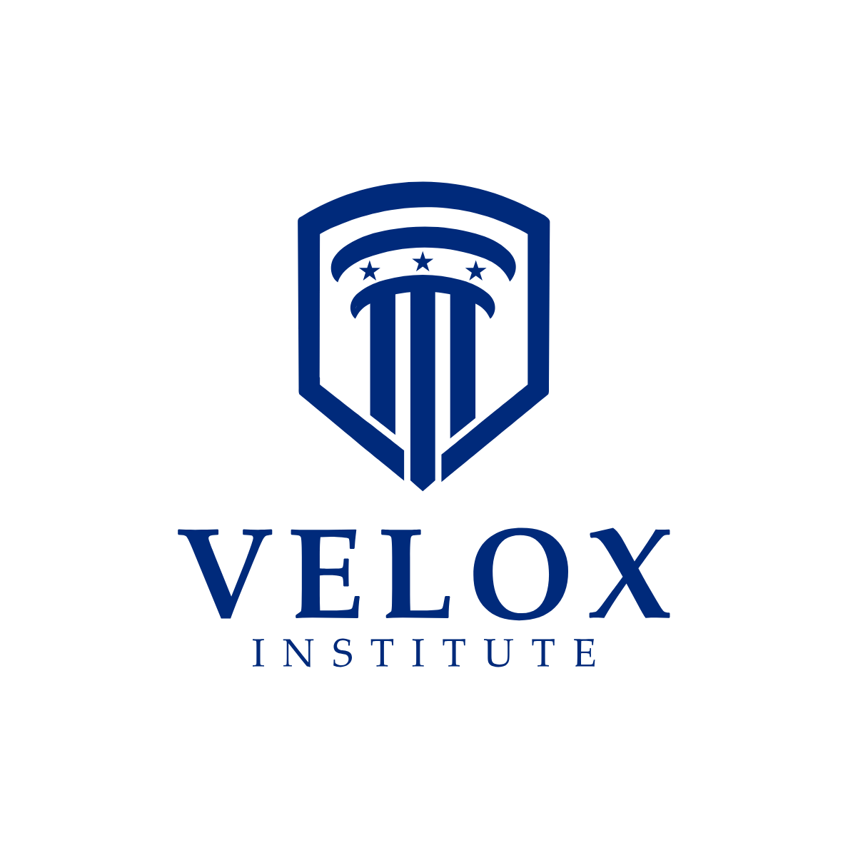 Velox Logo.png