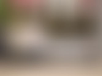 Rødvin til senhøst og jul: 5 viner du bør smake nå – og handle inn til julens måltider.