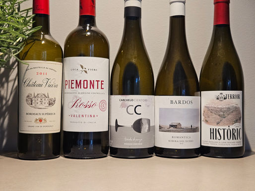 Rødvin til senhøst og jul: 5 viner du bør smake nå – og handle inn til julens måltider.