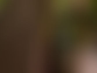 Flott gave til en som elsker en smaksrik Champagne - eller til deg selv! 