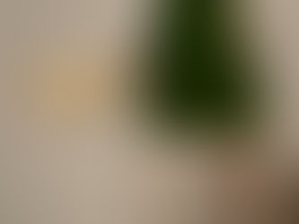 Loimer Extra Brut og Grüner Veltliner – ren smak, behagelig struktur og økologisk håndverk.