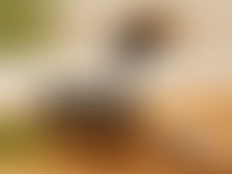 Blog #7: Why Nolen Gur is Healthier Than Sugar — 5 Surprising Benefits