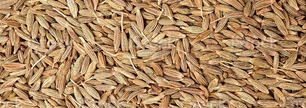 cumin seed_ba.jpg
