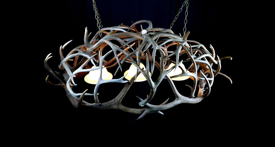 Real Antler Lights The Antler Collection United States