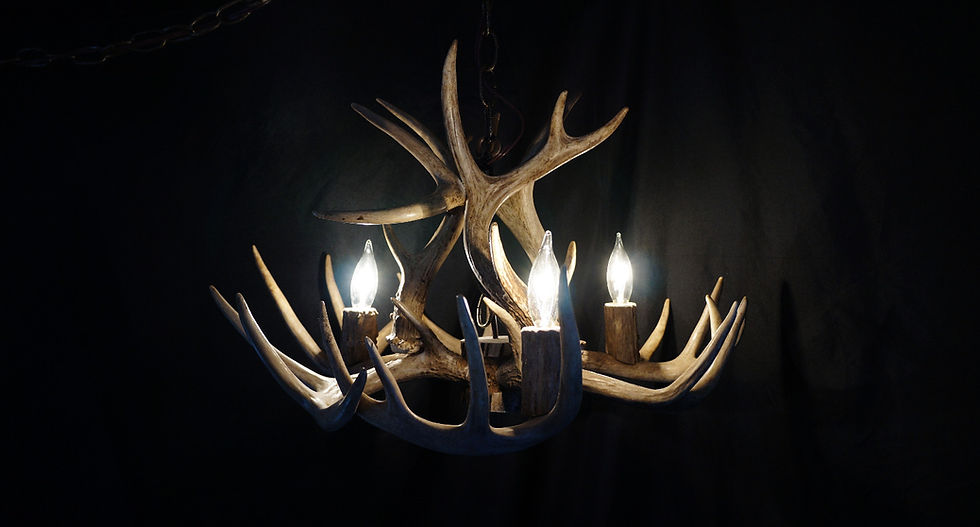 Thumbnail: SM Opposing Whitetail 3 light