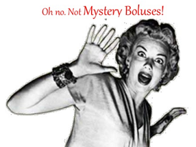 THE MYSTERY BOLUS