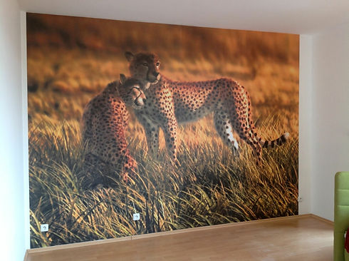 Fototapeta do dětského pokoje