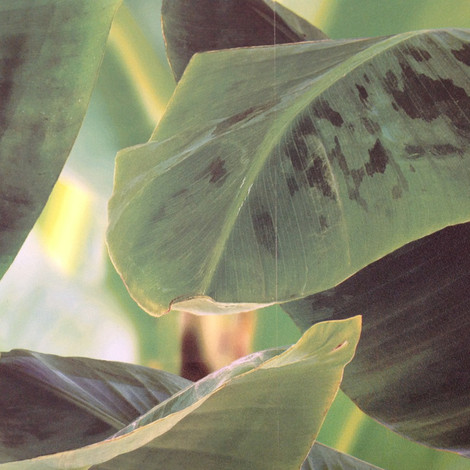 Detail spoje - tapetářova práce