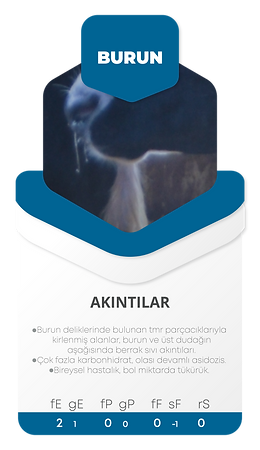 Kartlar--05.png