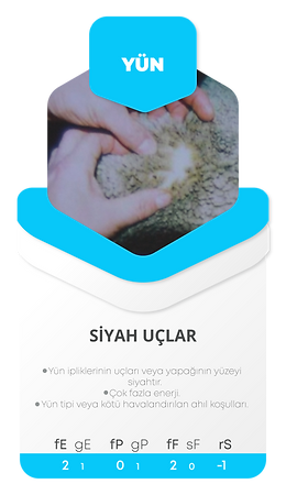 Kartlar-20.png