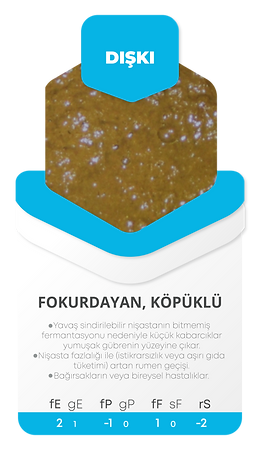 Kartlar--02.png