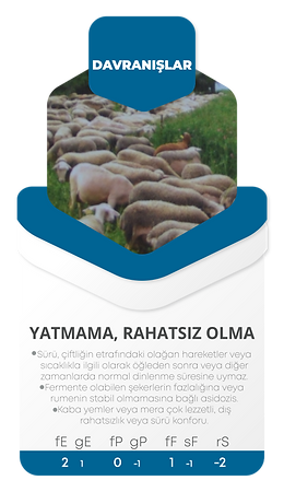 Kartlar-24.png