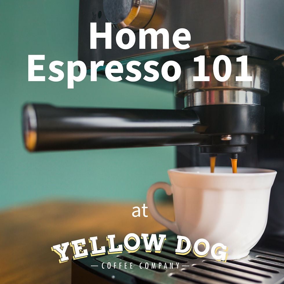Home Espresso 101