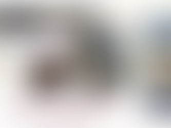 Winter programme 2026