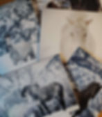 Grusskarte Pferdemotiv