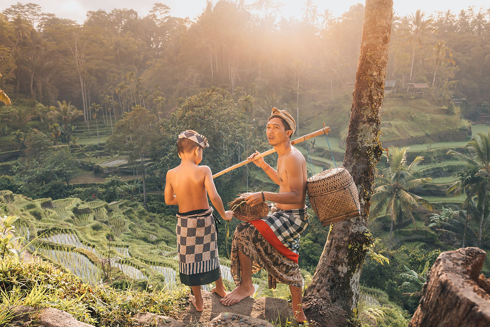 father and son overlooking Tegalalang rice terrace during sunrise