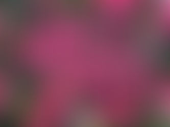 Beauty on a Budget: How to Look High-End for Less with Mary Kay