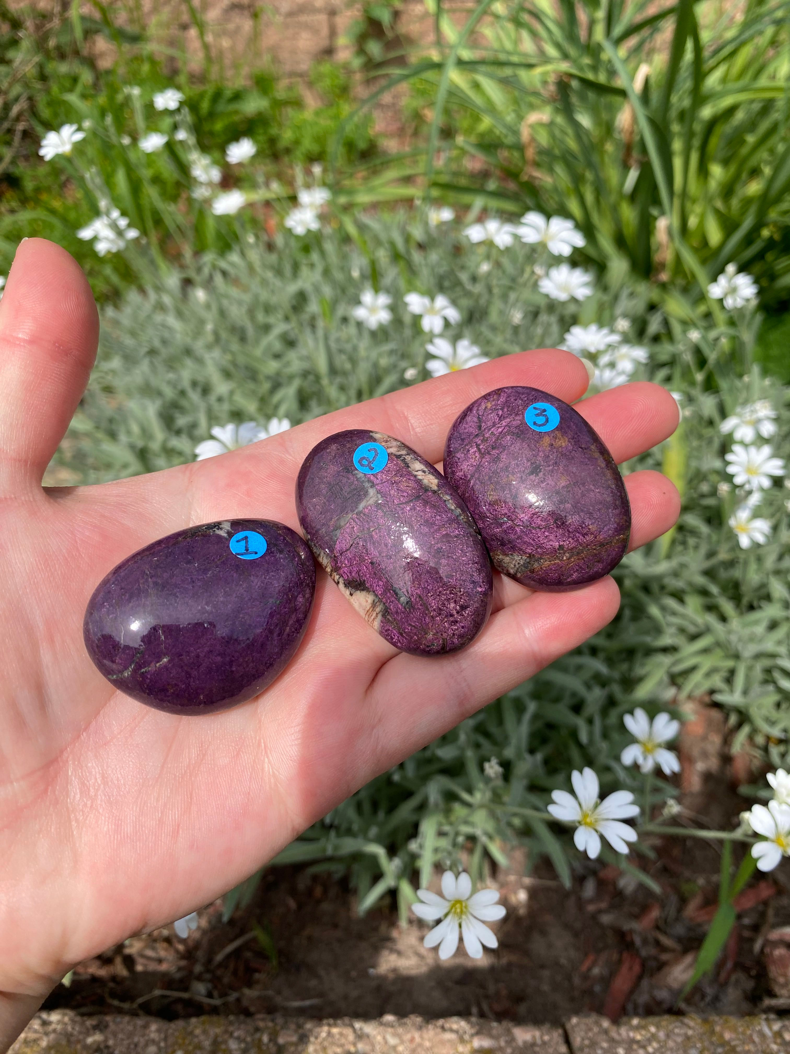 Purpurite
