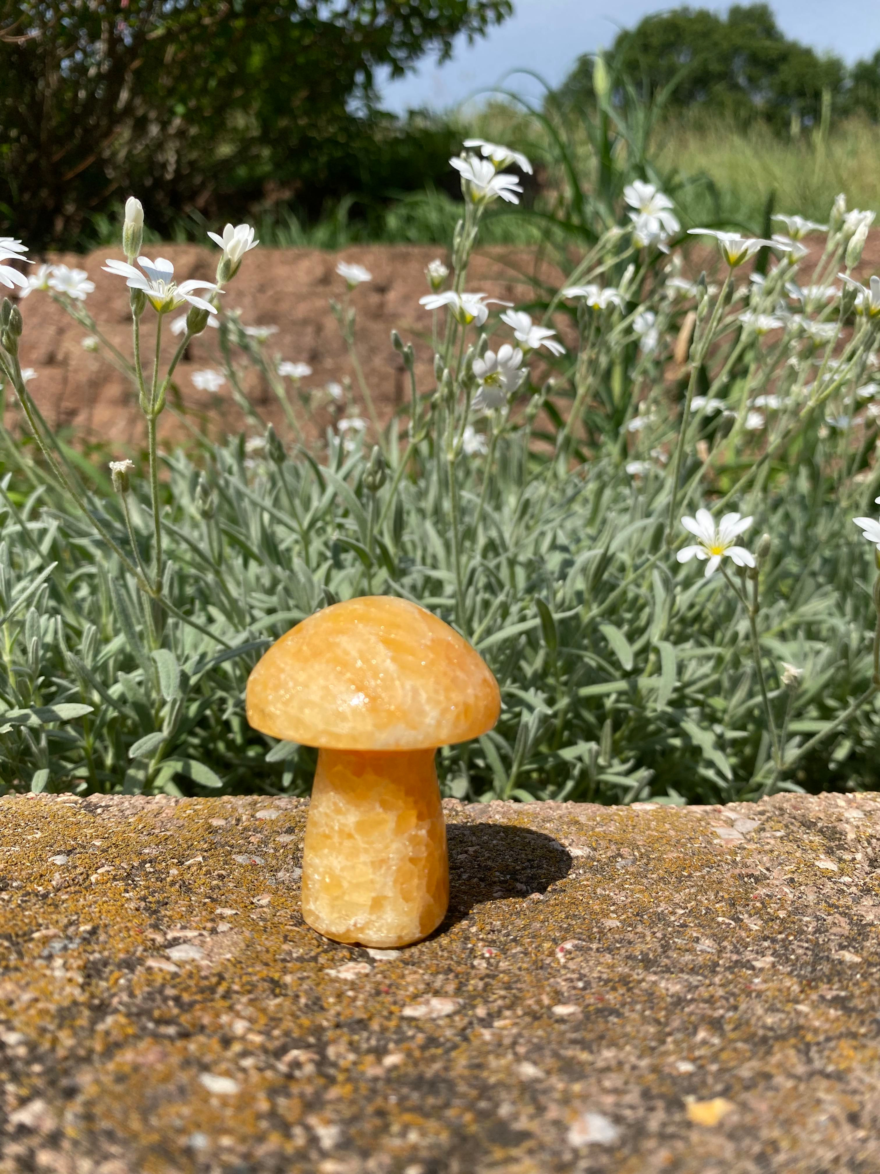 Orange Calcite Mushroom