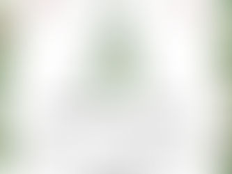 クリスマス礼拝のご案内