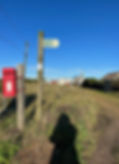 sombre en la via.jpg