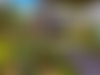 Pousada sustentável x Pousada tradicional. Entenda as diferenças.