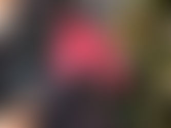 【XmasWeek2022🎄️】ポットラックパーティーのドレスコードは『赤か緑』!!