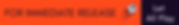 LAP Press Release Header Footer (6).png