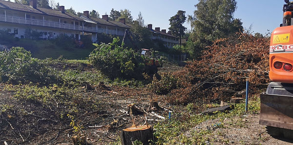 IMG_20240906_110456 -adj.jpg