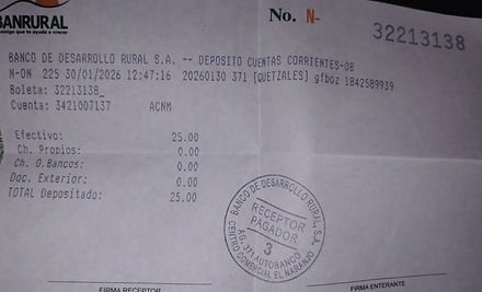 Ejemplo Boleta.jpg