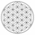 flower-of-life-1079763_960_720.webp