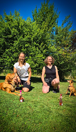 Begleithundeprüfung 20250628.jpg