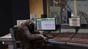 chimp.jpeg
