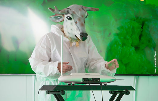 Siri Borge kopi_edited.jpg