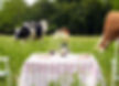 Farm to table experience on Big Island. Things to do near Hilo, Hawaii