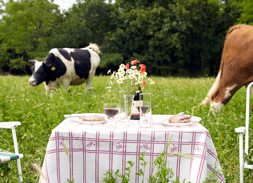 Outdoor Picnic Setup