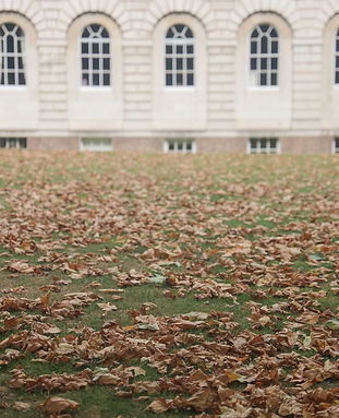 WhatsApp Image 2025-08-29 at 09.56.09 (1).jpeg