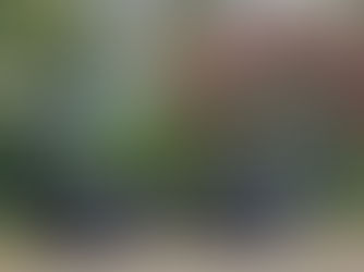 毎年の事ですけどww