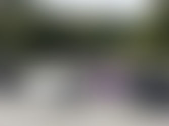 ショックなお話