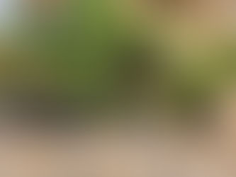 北陸二輪交遊会①