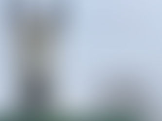 Fire Horse: Re-wild the Soul