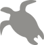A digital image of a sea turtle.
