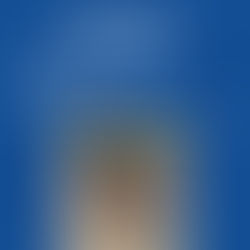 MLI goes to Dayton, OH: Honoring 30 Years of the Dayton Peace Accords and the Dayton Dog Campaign