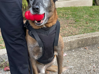 Four Years Later: MDD Rico Cosby's Lasting Legacy as MLI’s K9 Ambassador