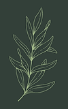 2026 Gala Wix items.png